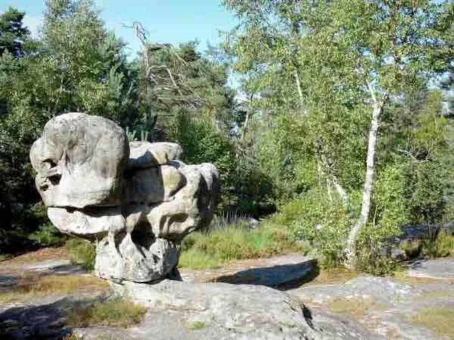 La Pause Allongee - Fontainebleau Hypercentre Exterior photo